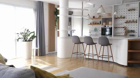 简约装饰的现代公寓厨房和客厅