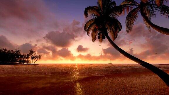 日落时棕榈树的剪影海浪的声音