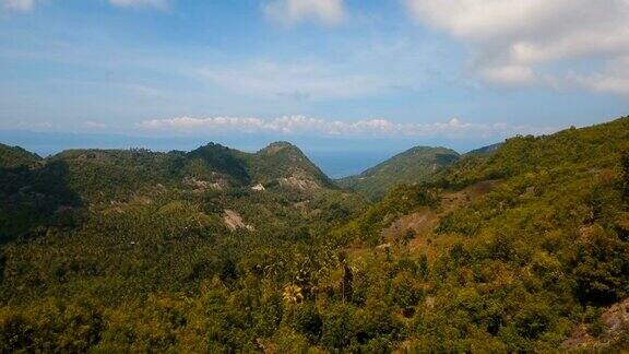有热带森林的山脉菲律宾宿雾岛