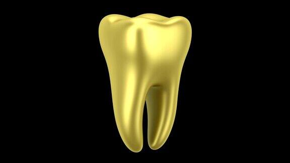 金色的人类牙齿环在黑色背景上旋转