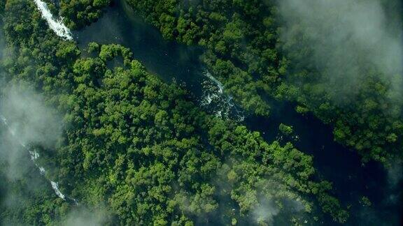 从上到下的原始丛林河无人机