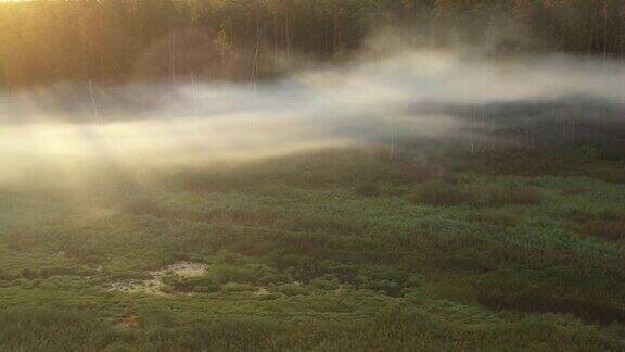 清晨一架无人机飞过一片模糊的夏日森林阳光穿过浓雾