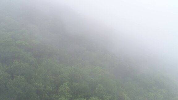 在夏季热带森林山顶升起的雾景观的航拍镜头
