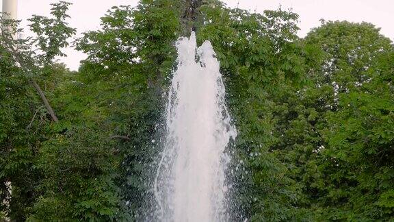 喷泉的水溅到绿色的树叶上-慢镜头