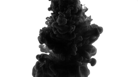 墨水烟雾过渡-过渡动画类似墨水或烟雾黑色和白色烟雾的抽象形式