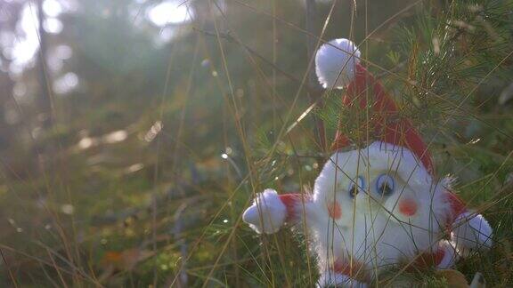 在芬兰罗瓦涅米地上的草和小精灵玩具4k