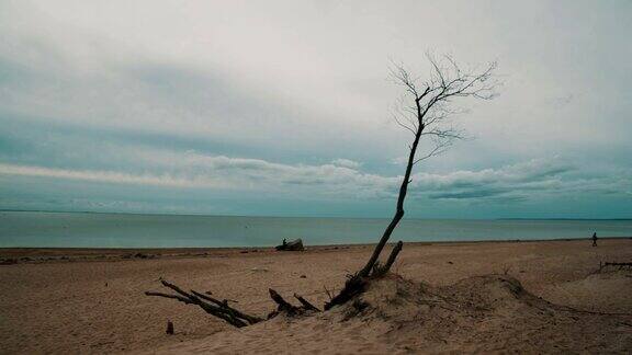 一个孤独的男人沿着海滩走