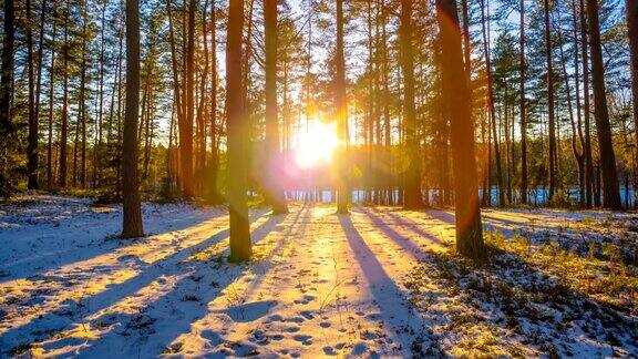 冬日森林中的日落延时拍摄