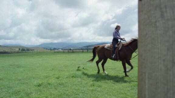 一个年轻的女孩骑着马