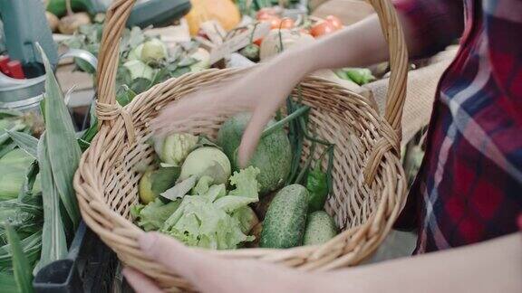 温室蔬菜收获