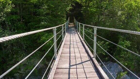 走在枝繁叶茂的吊桥上