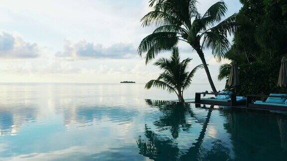 马尔代夫的无边泳池和棕榈树