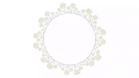 雏菊花环链绘制2D视频动画动画圆形花卉框架与充满雏菊