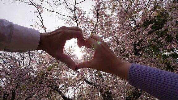 浪漫的情侣手牵手在阳光下透过樱花