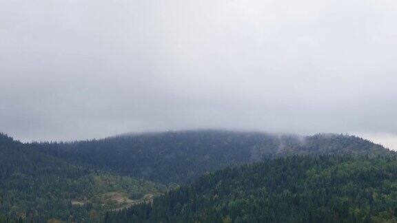 清晨雾蒙蒙的山景松林与雾山时光流逝