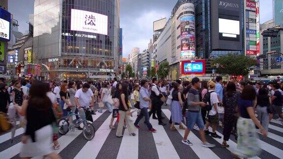 日本东京涩谷十字路口的人群