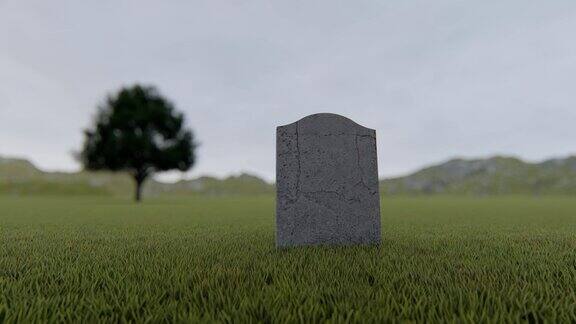 雾蒙蒙的草地上只有一块空白的墓碑
