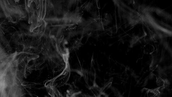 黑色背景上的烟雾黑色和白色的抽象