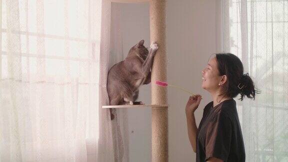亚洲妇女抚摸和爱抚一个可爱的猫抓柱