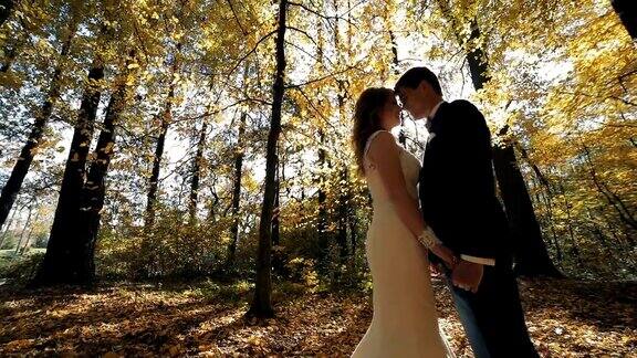 新婚夫妇在金色的森林里它们之间的阳光