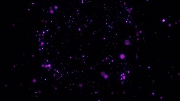 Alpha通道的紫色粒子爆炸(Prores4444Alpha)