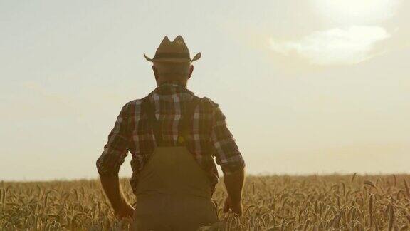 一位年长的农民在夕阳下穿过麦田