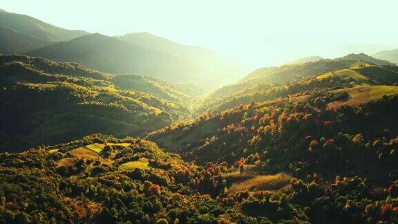 秋山上的日出山与五颜六色的树在日出柔和的光