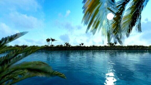棕榈树岛和蓝天下飞过的飞机