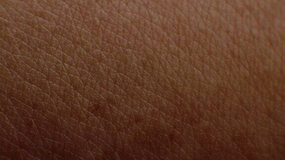 人体皮肤的特写微距