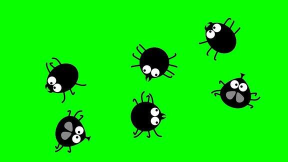 有趣的黑色昆虫在绿色屏幕上爬行2d动画卡通无缝衔接