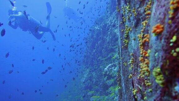 环境问题:水下潜水员和废弃的捕鱼“幽灵网”污染海洋