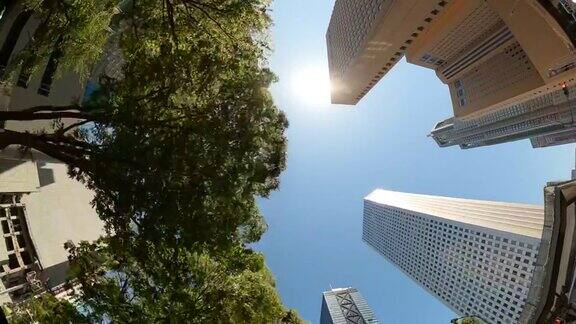 开车穿过城市中的摩天大楼旋转和仰望摩天大楼和绿树