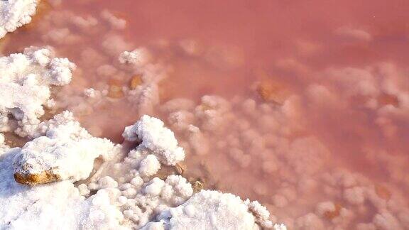 粉红色湖岸上的盐晶体