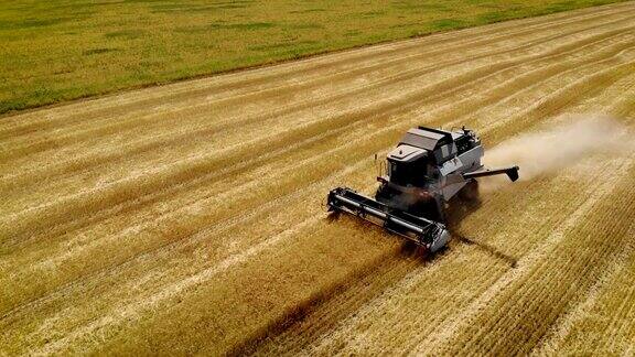 鸟瞰图大型灰色联合收割机在收获季节刈割黄麦成熟穗的农业机械用于未来的粮食生产
