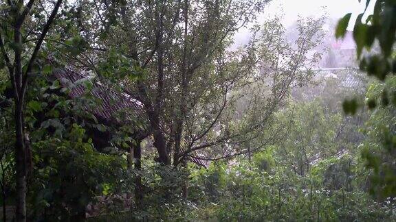 夏天花园里下雨雨点落在绿树下的屋顶上