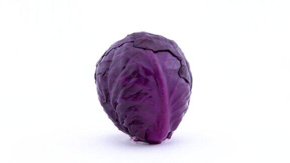 一个完整的迷你紫色卷心菜旋转在转盘上孤立的白色背景特写镜头宏