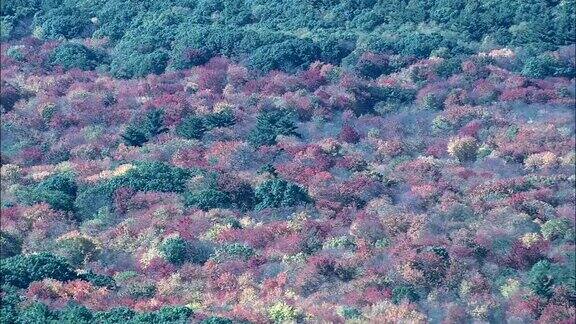 秋天的颜色附近的康科德-鸟瞰图-马萨诸塞州米德尔塞克斯县美国