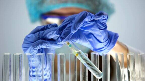 化验师用石蕊试纸检查蓝色试验液的酸度