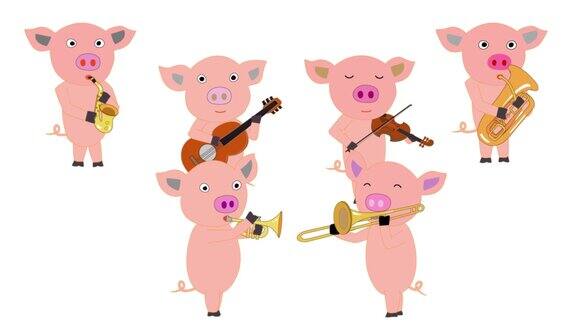 猪的音乐