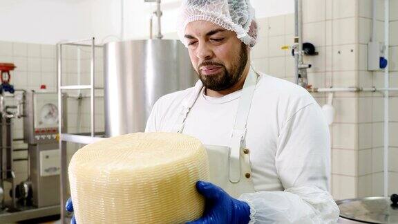 日记奶酪工厂-显示奶酪形状的奶酪制造商