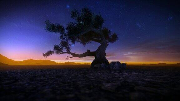 沙漠中孤独的树对着星空4k