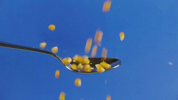 玉米种子掉在勺子上的慢动作