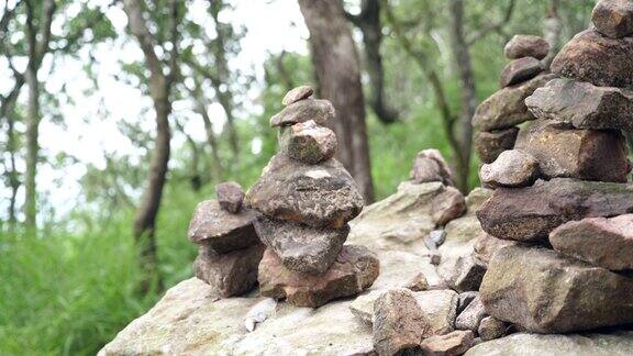 森林中的一堆石头