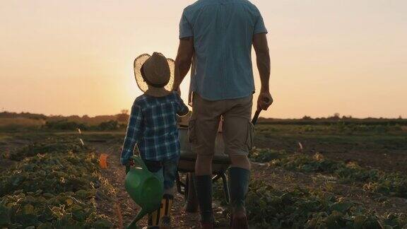 日落时分父子俩一起在田野里散步