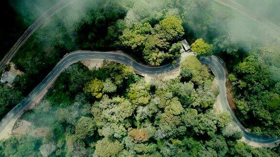 茶园之间道路上汽车的鸟瞰图