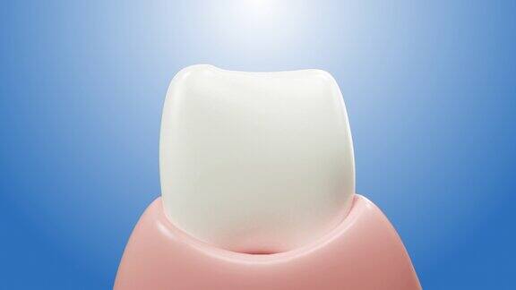 3d逼真的清洁和脏牙清洁牙齿的过程牙齿美白牙齿健康口腔护理牙齿修复美白牙齿的健康护理透明背景