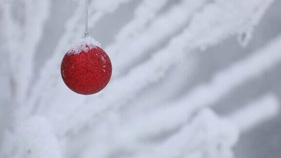 红色玩具在白雪覆盖的树枝上荡秋千