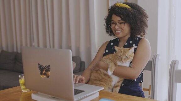一名年轻女子在家工作时抚摸她的猫的4k视频片段