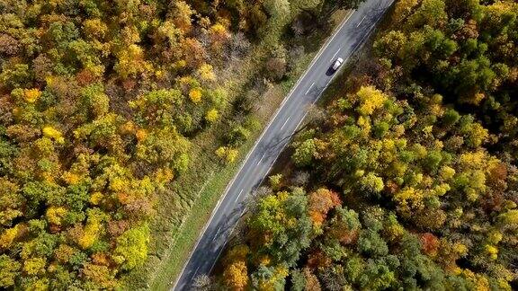 鸟瞰图的道路通过秋天的森林