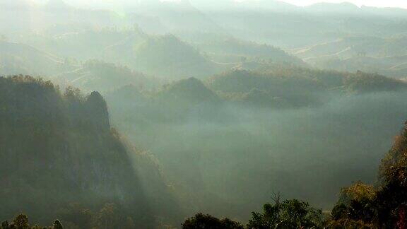 清晨热带雨林上空的雾景观